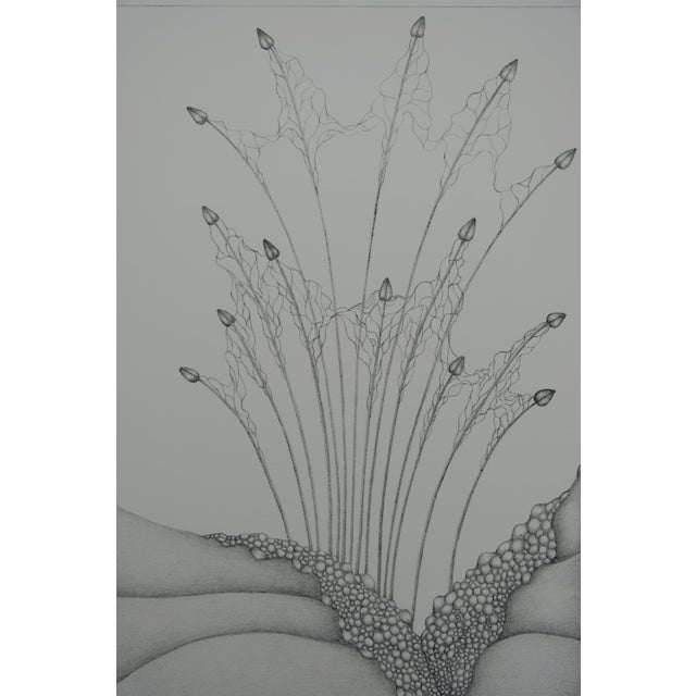 Contemporary Gochka Charewicz, Petits bourgeons, Lithograph For Sale - Image 3 of 9