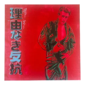 Andy Warhol Estate Vintage 1990 Lithograph Print " James Dean - Rebel Without a Cause " 1985