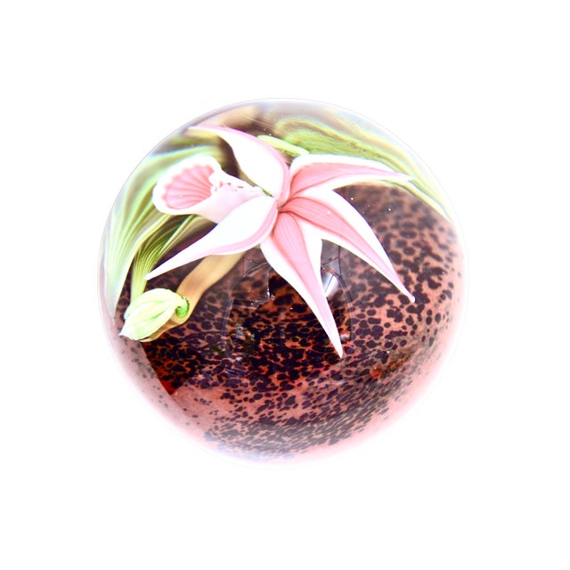 Orient & Flume Pink Sobralia Orchid Blown Glass Paperweight For Sale - Image 4 of 6