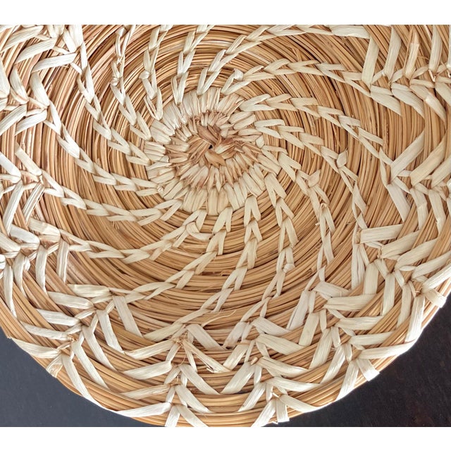 Late 20th-Century Sweetgrass Gullah-Style Decorative Shallow “Bowl Basket” For Sale - Image 9 of 18