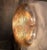 1960s Pair of Brown Mid-Century Modern Murano Glass Sconces 1960s For Sale - Image 5 of 12