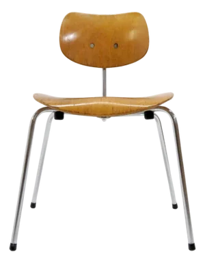 Side Chair by Egon Eiermann for Wilde & Spieth