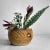 Striking ikebana flower vase from Japan, dating from the 1960s. Dimensions: height 17.5 cm, width 29 cm, depth 20 cm. In...