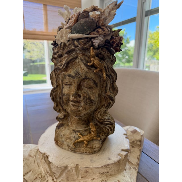 Mediterranean Celestial Meets the Sea-Shell Encrusted Bust For Sale - Image 3 of 11