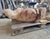 Beige Wall Fountain in Breccia Pernice and Giallo Siena Marble, 19th Century For Sale - Image 8 of 12