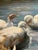 Vintage 1980s Impressionistic Duck Pond Oil Painting on Canvas – Signed "Francis" For Sale - Image 4 of 12