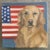 What is more American than a yellow Labrador retriever how about a retriever with an American flag ? Perfect to frame for...