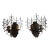 Rare Pair of Antique Wrought Iron Wall Sconces Curca 1920’s For Sale