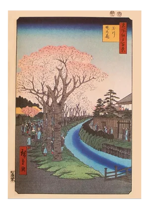 Utagawa Hiroshige "Cherry Blossoms on the Banks of the Tama River", 1940s Reproduction Print N24