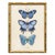 Various Artists Reproduction Vintage Blue Butterfly Art Print Set (Set of 2), Framed For Sale - Image 4 of 7