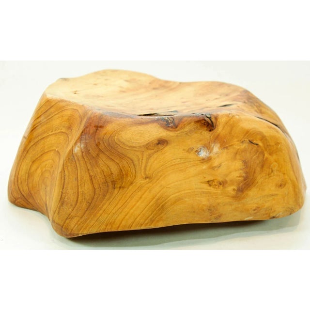 Organic Teak Burl Wood Bowl Natural Free Form Live Edge Sculptural Root Vessel For Sale - Image 11 of 12