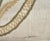 Vintage Floral Sofa For Sale - Image 14 of 18
