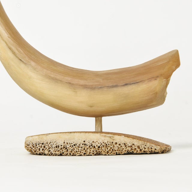 Mid 20th Century Vintage Carved Horn Crane Sculpture For Sale - Image 5 of 17