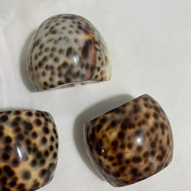 Vintage Tiger Cowrie Shell Napkin Rings – Set of 6 For Sale - Image 4 of 5