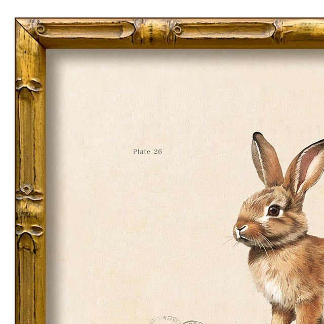 Various Artists Reproduction Vintage "Garden Friends" Art Print (10), Framed Bunny For Sale - Image 4 of 6