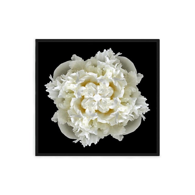 Limited Edition Fine Art Photography by Erin Derby. This is a limited edition fine art photographic print focusing on a...