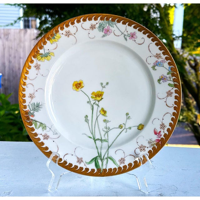 Rococo Antique German Fischer & Mieg Pirkenhammer Dinner Plates - Set of 4 For Sale - Image 3 of 15