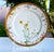 Rococo Antique German Fischer & Mieg Pirkenhammer Dinner Plates - Set of 4 For Sale - Image 3 of 15