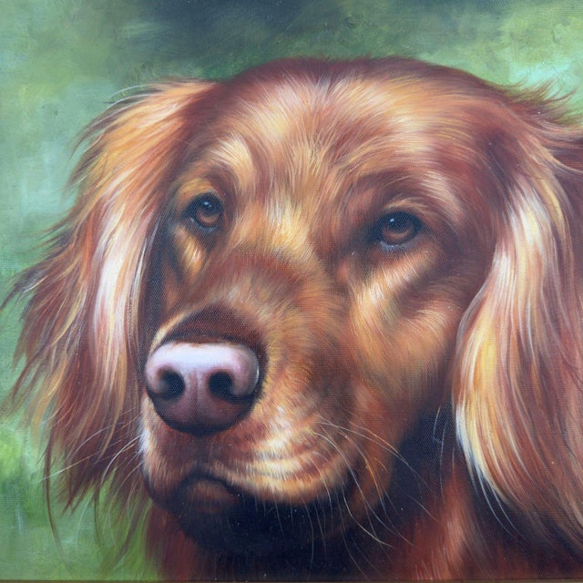David Coalburn Original Oil Painting Golden Retriever Portrait “Eyes of Christy” For Sale - Image 10 of 12
