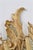 18th Century Italian Giltwood Sconces - Pair For Sale In Los Angeles - Image 6 of 11