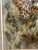 Original Athena Gilliland Leopard Cub Cheetah Cat Realism Watercolor Painting For Sale In New York - Image 6 of 13
