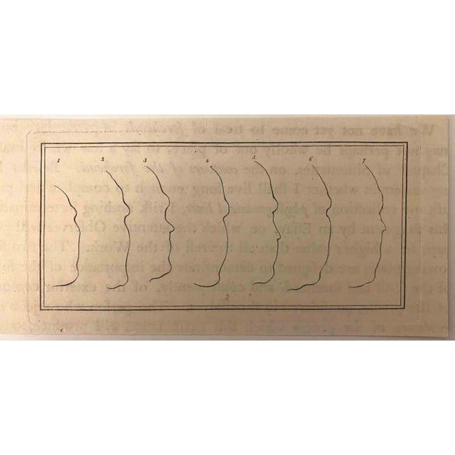 Profiles is an original etching artwork realized by Thomas Holloway for Johann Caspar Lavater's "Essays on Physiognomy,...