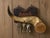 Rare Folk Art wall-mounted horn on wooden plaque with duck etching and key hooks. Signed by maker. Incredible and unique...