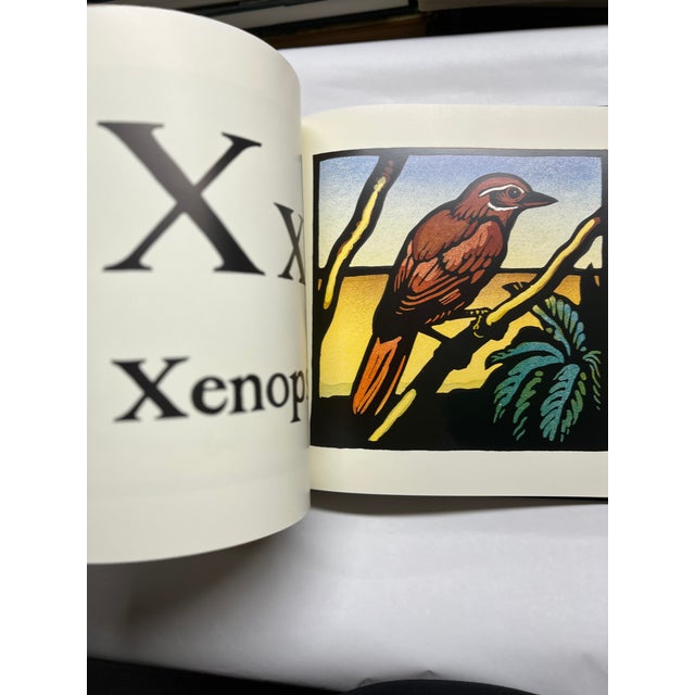 An Alphabet of Animals Book For Sale - Image 13 of 16