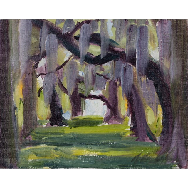 Audubon Park, ca. 2010 by Michelle Torrez | Oil on panel Landscape with trees and Spanish moss For Sale