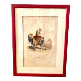 French Colored Engraving From "La Caricature" Depicting a Rooster For Sale