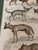 Green 1835 Thomas Brown Hand-Colored Canid Engraving | Archivally Matted 12x16 For Sale - Image 8 of 9