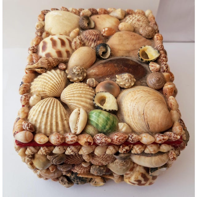 Early 20th Century Vintage Coastal Encrusted Shell Box For Sale - Image 5 of 12