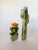 Vintage Wood Cut Cactus Objects For Sale - Image 4 of 9