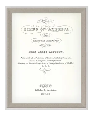 Audubon 23, Framed Artwork