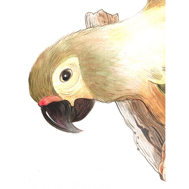Chinoiserie "Bird of Passage" Tropical Chinoiserie by Allison Cosmos For Sale - Image 3 of 4