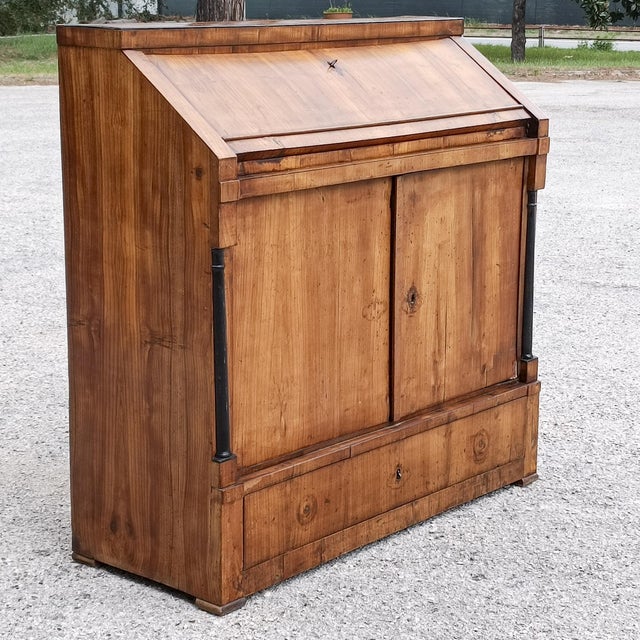 Brown Antique Empire Era Secretaire with Doors For Sale - Image 8 of 9