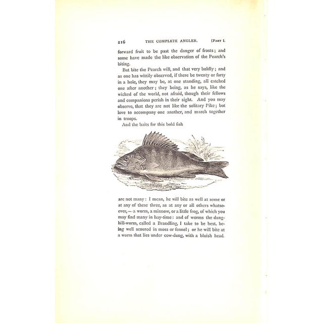 "The Complete Angler: Or the Contemplative Man's Recreation" 1925 Walton, Izaak, Cotton, Charles For Sale - Image 11 of 12
