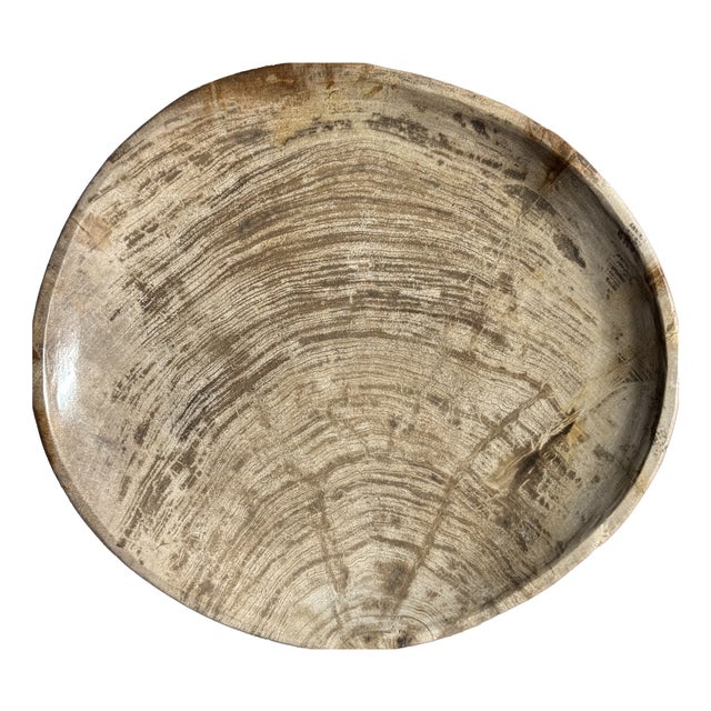 Light Grey Petrified Wood Trinket Tray or Dish with Rings, 1980s For Sale