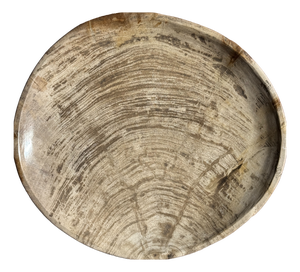 Light Grey Petrified Wood Trinket Tray or Dish with Rings, 1980s