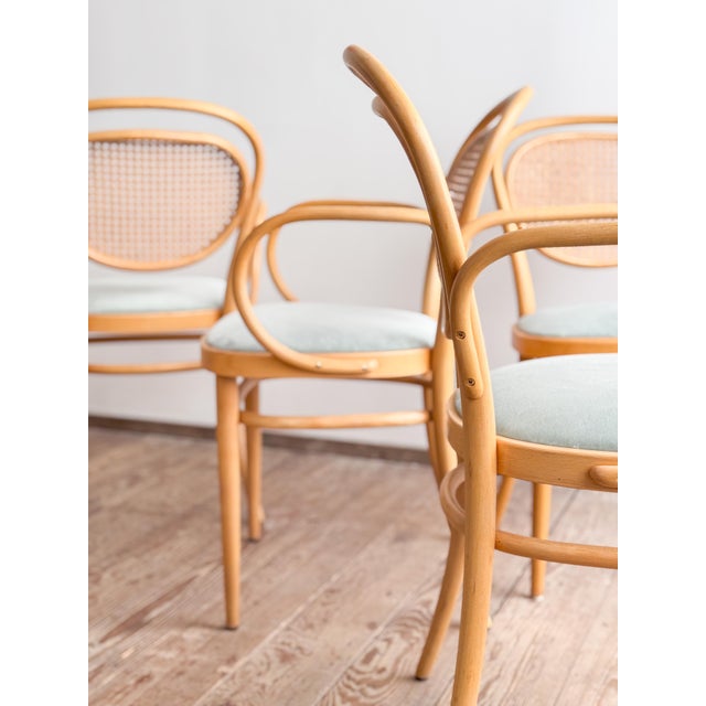 215 P Bentwood Armchairs in Beech with Velvet Cover in Sage by Michael Thonet for Thonet, Germany, 1993, Set of 4 For Sale - Image 15 of 17