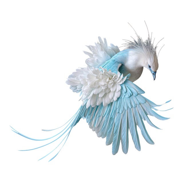 Victoria Crowned Pigeon Original Photograph by Michael Filonow For Sale