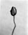 Ugne Pouwell, Poppy No.8, 2025, Analogue Black and White Floral Photography, Limited Edition of 15 For Sale - Image 6 of 6