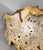 21st Century Modernist Contemporary Carved Burl Wood Vase by Warren Vienneau For Sale - Image 13 of 13
