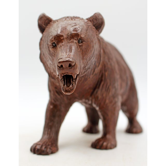 Circa 1900 small-medium size strolling Black Forest Bear, Swiss. Rich brown color. Very good face - small, bead eyes....