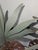 1970s Folky Large Cut Metal Painted Tole Pineapples - A Pair For Sale - Image 5 of 6