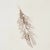 Contemporary Schumacher Woodland Feathers Wallpaper In Pebble For Sale - Image 3 of 5