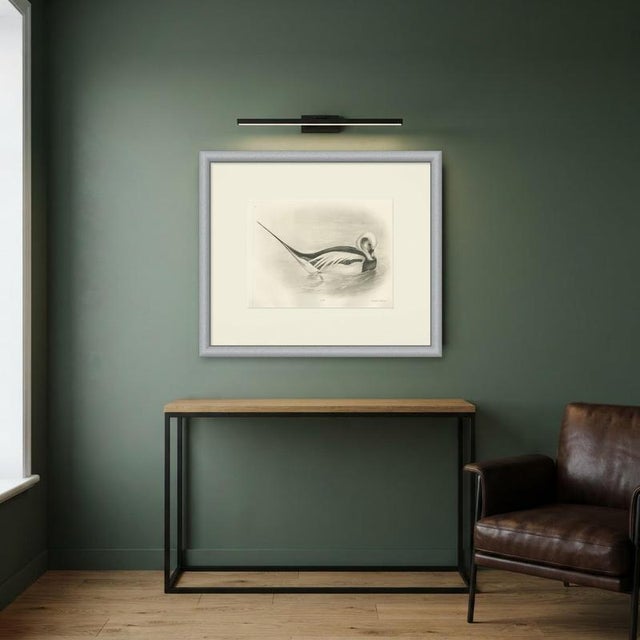 Beige After Lilian Medland, Long-Tailed Duck, 1909, Print For Sale - Image 8 of 9