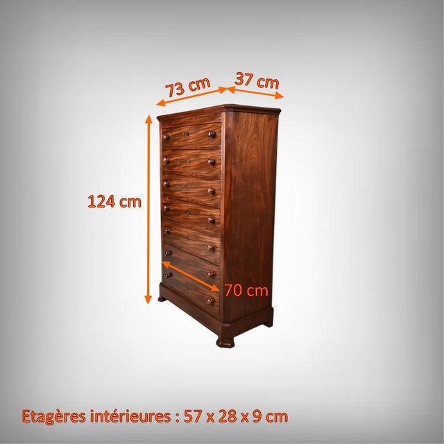 Late 19th Century Mahogany Chest of Drawers For Sale - Image 17 of 18