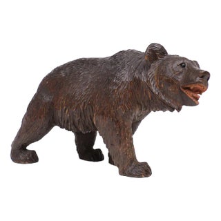 Black Forest Glass Eye Bear, Germany, 1920s For Sale