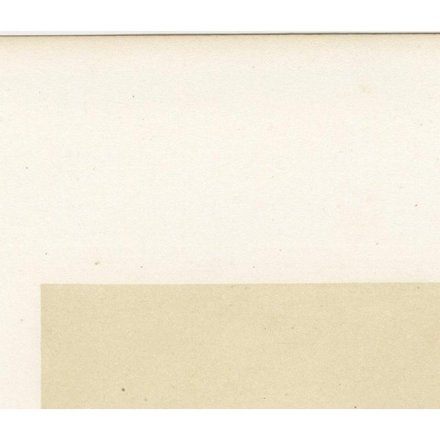 Paper French Artist, Comtois Bull, 1873, Paper For Sale - Image 7 of 12